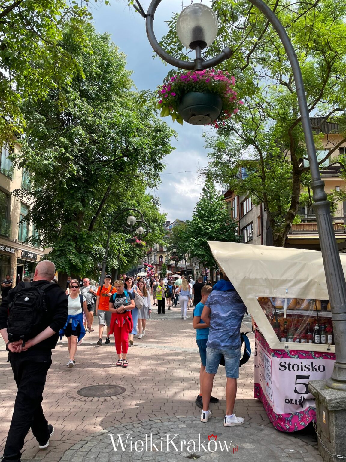 Ile kosztuje parking w Zakopanem? Cennik i gdzie darmowy